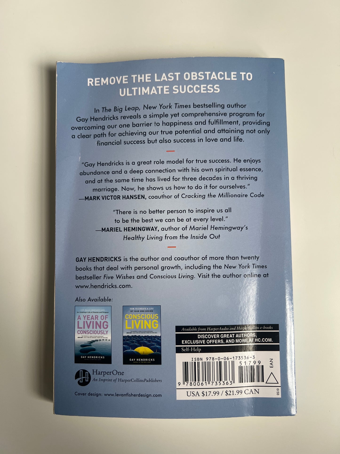The Big Leap - Gay Hendricks