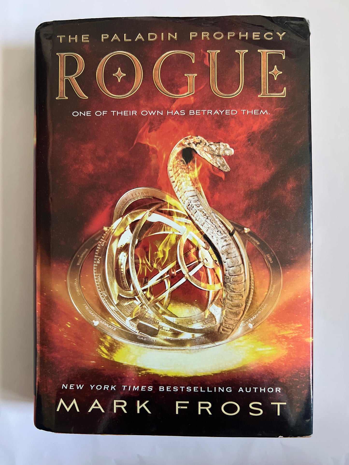 The Paladin Prophecy: Rogue - Mark Frost