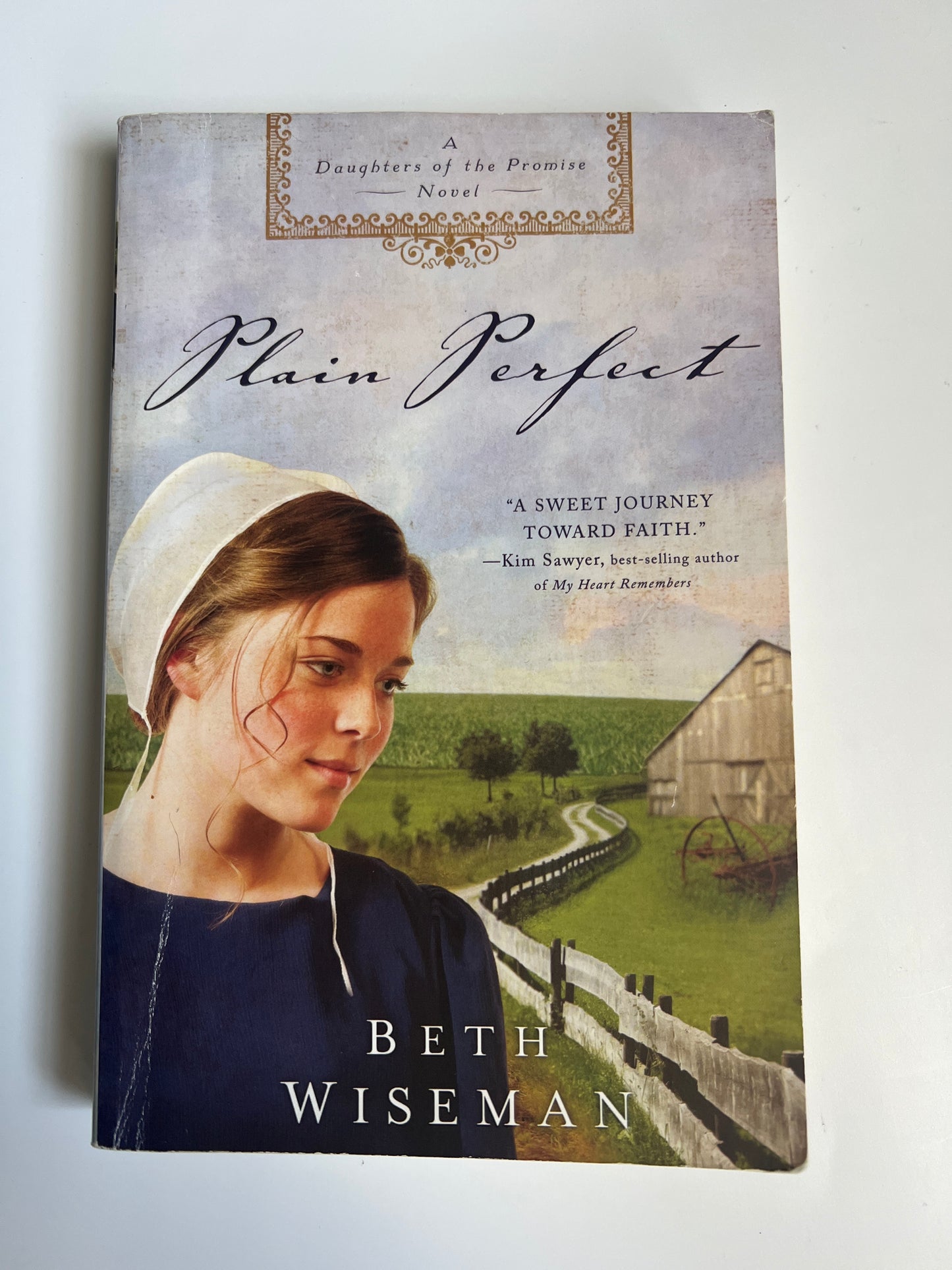 Plain Perfect - Beth Wiseman