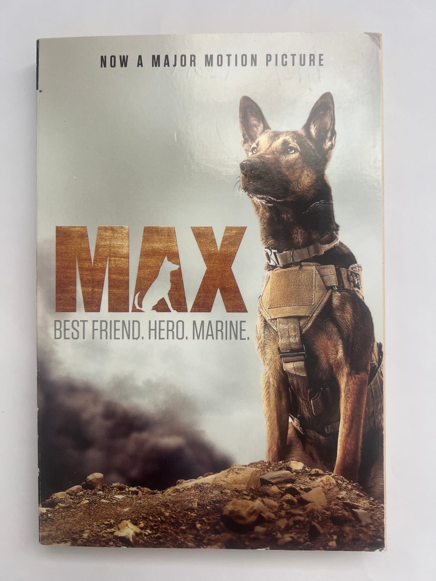 Max - Jennifer Li Shotz