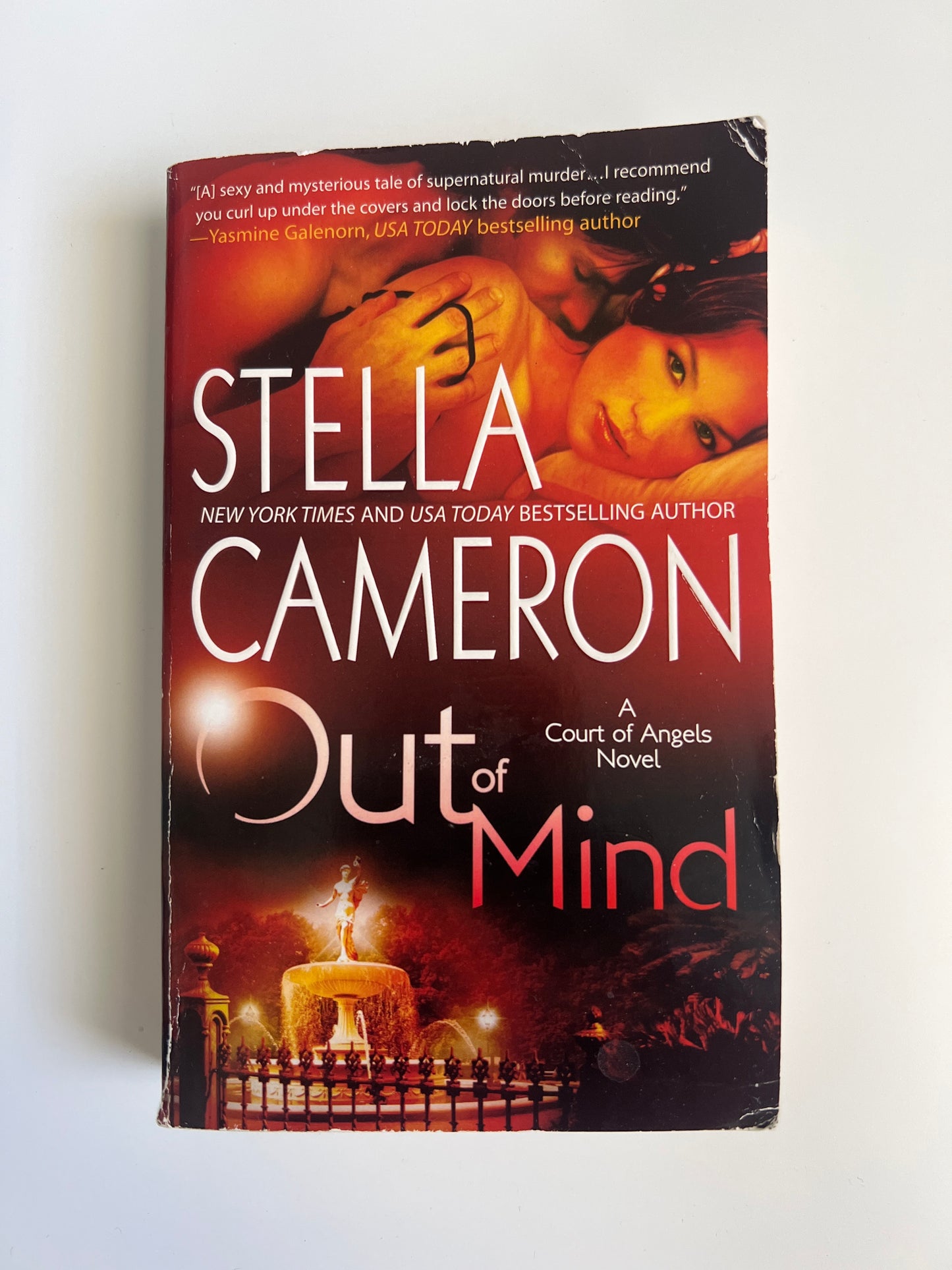 Out of Mind - Stella Cameron