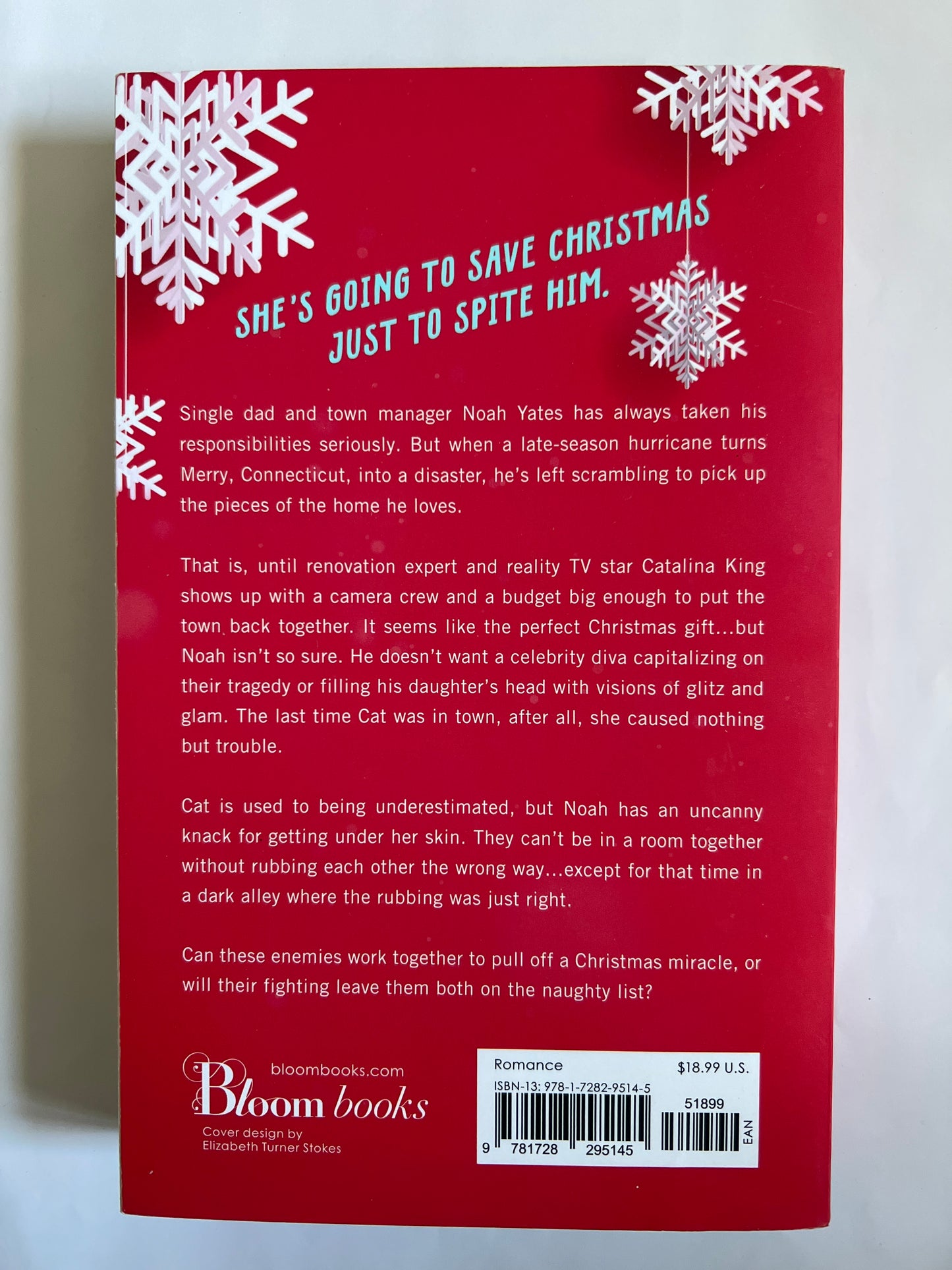 The Christmas Fix - Lucy Score
