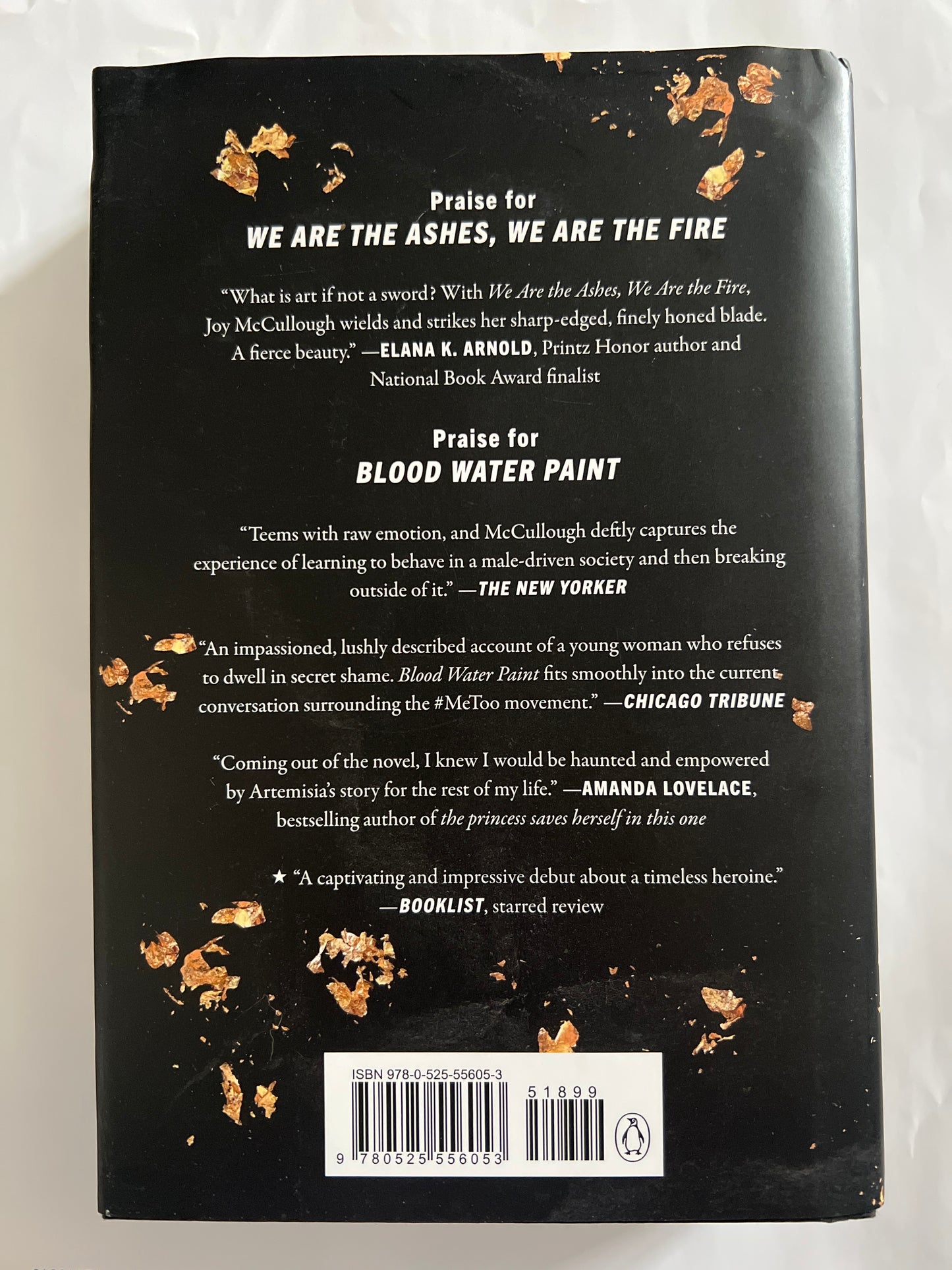 We Are the Ashes, We Are the Fire - Joy McCullough
