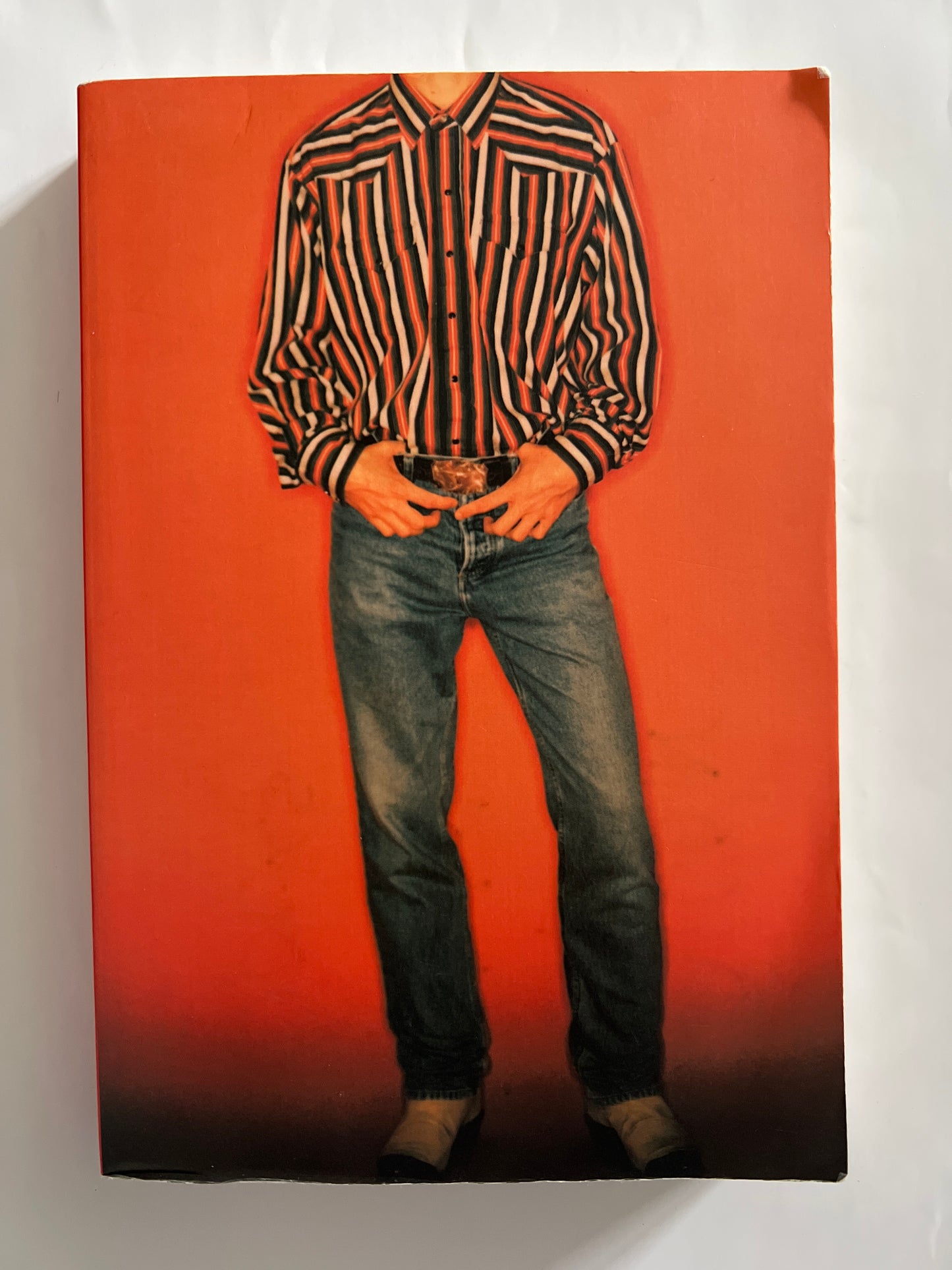 The Arizona Kid - Ronald Koertge