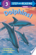 Dolphins! - Sharon Bokoske