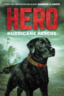 Hero: Hurricane Rescue - Jennifer Li Shotz