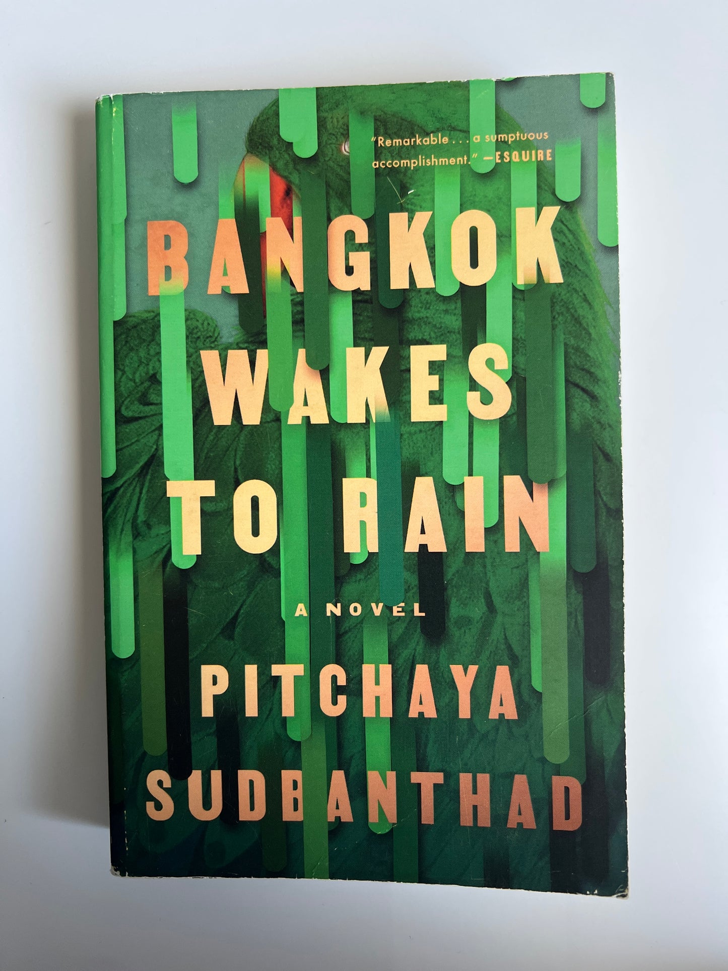Bangkok Wakes to Rain - Pitchaya Sudbanthad
