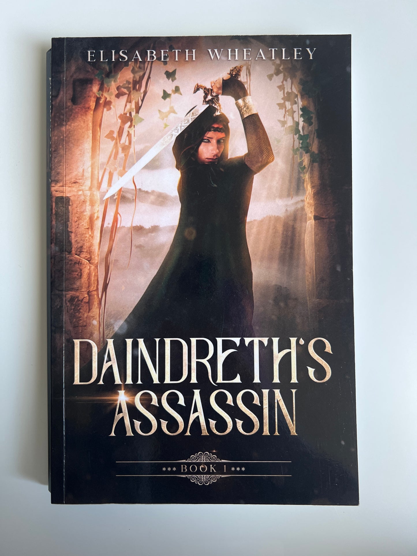 Daindreth’s Assassin (book #1) - Elisabeth Wheatley