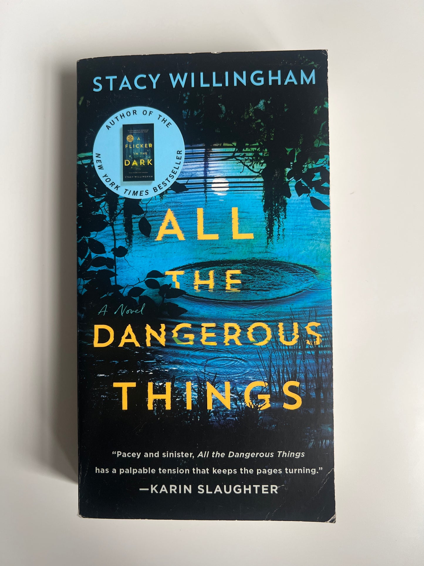 All the Dangerous Things: A Novel - Stacy Willingham
