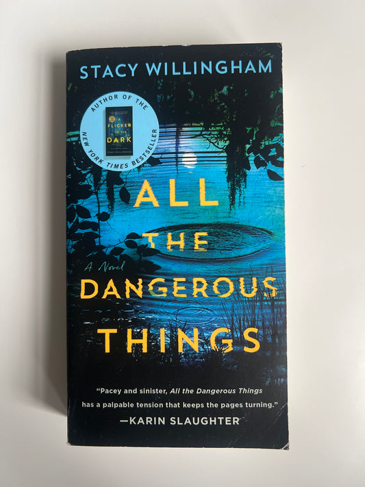 All the Dangerous Things: A Novel - Stacy Willingham