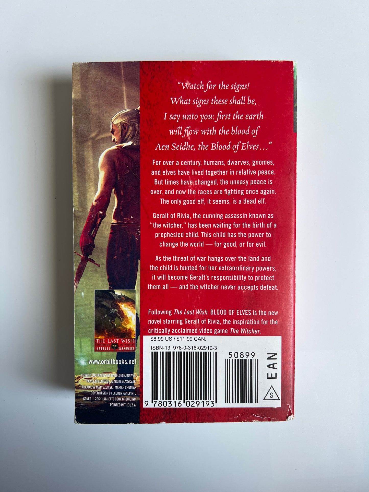 The Witcher: Blood of Elves - Andrzej Sapkowski