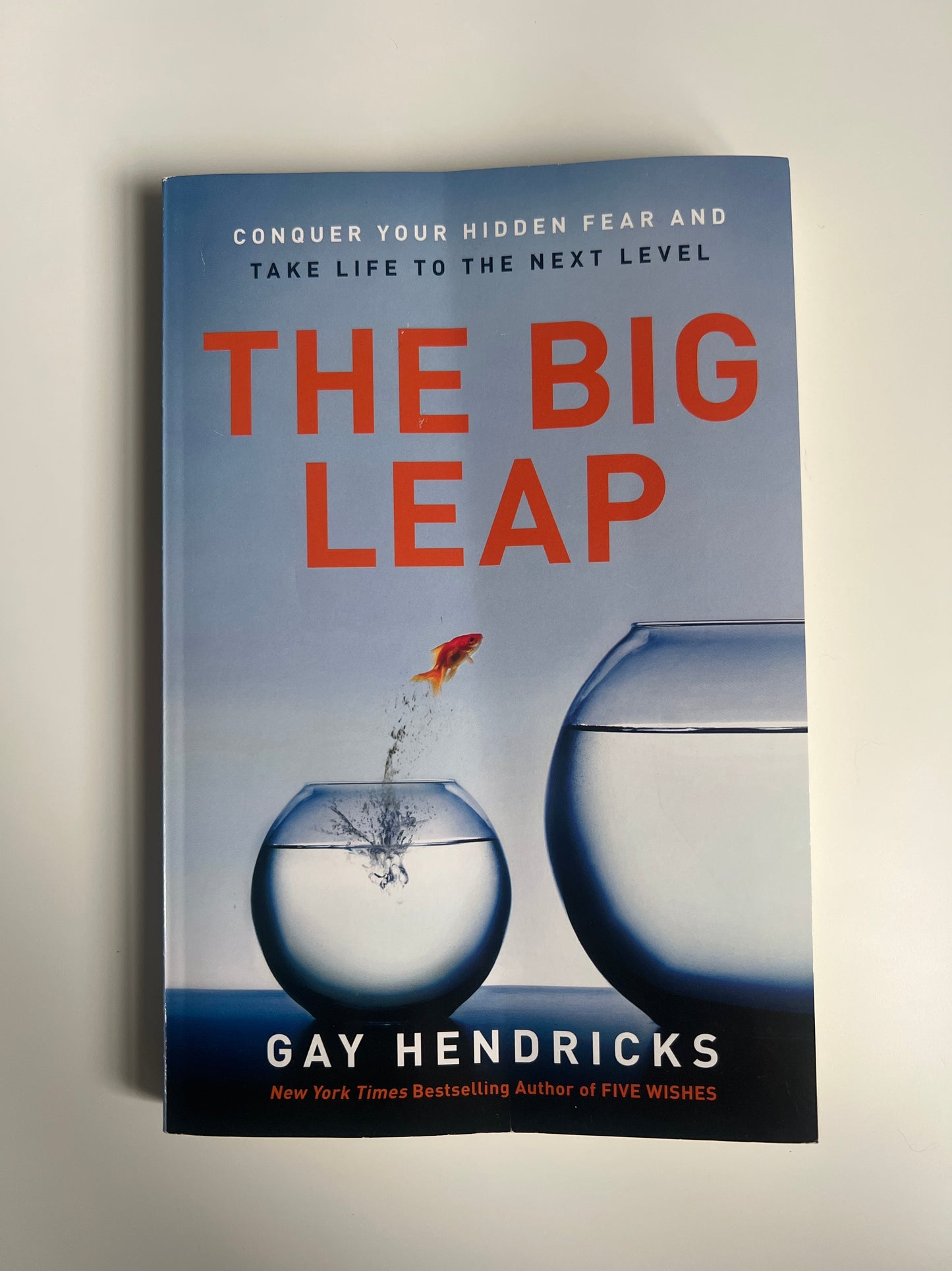The Big Leap - Gay Hendricks