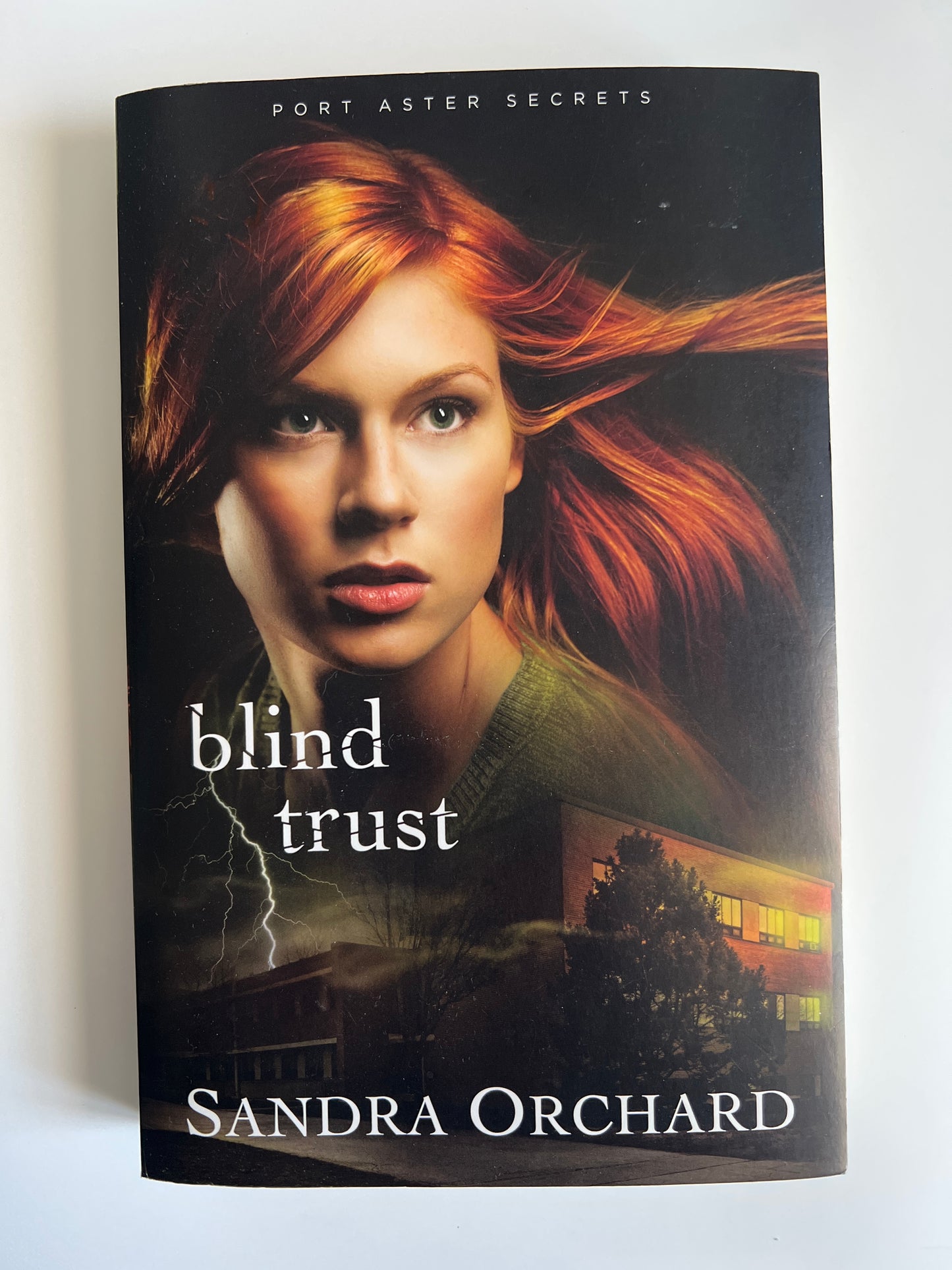 Blind Trust - Sandra Orchard