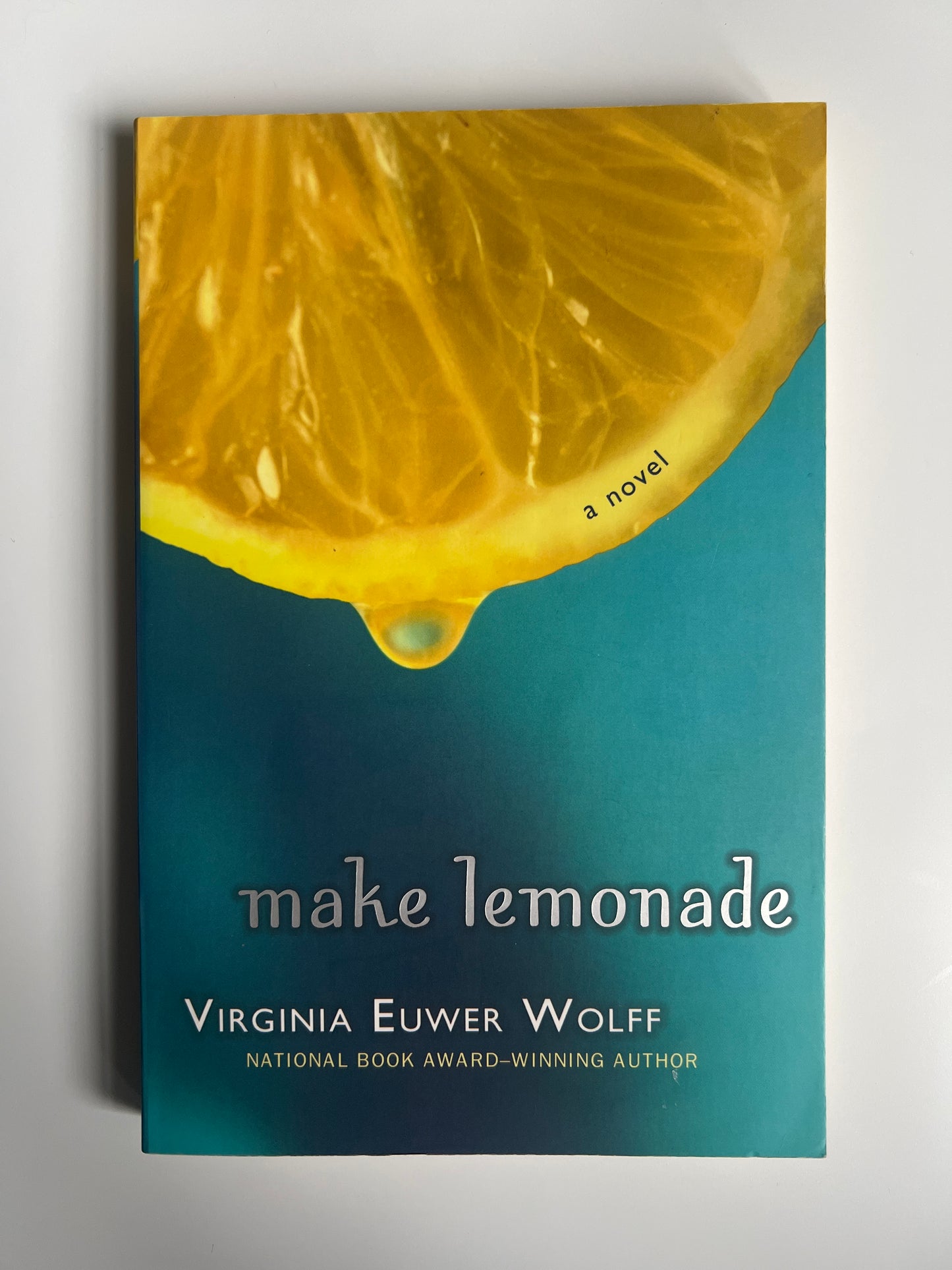 Make Lemonade - Virginia Euwer Wolff