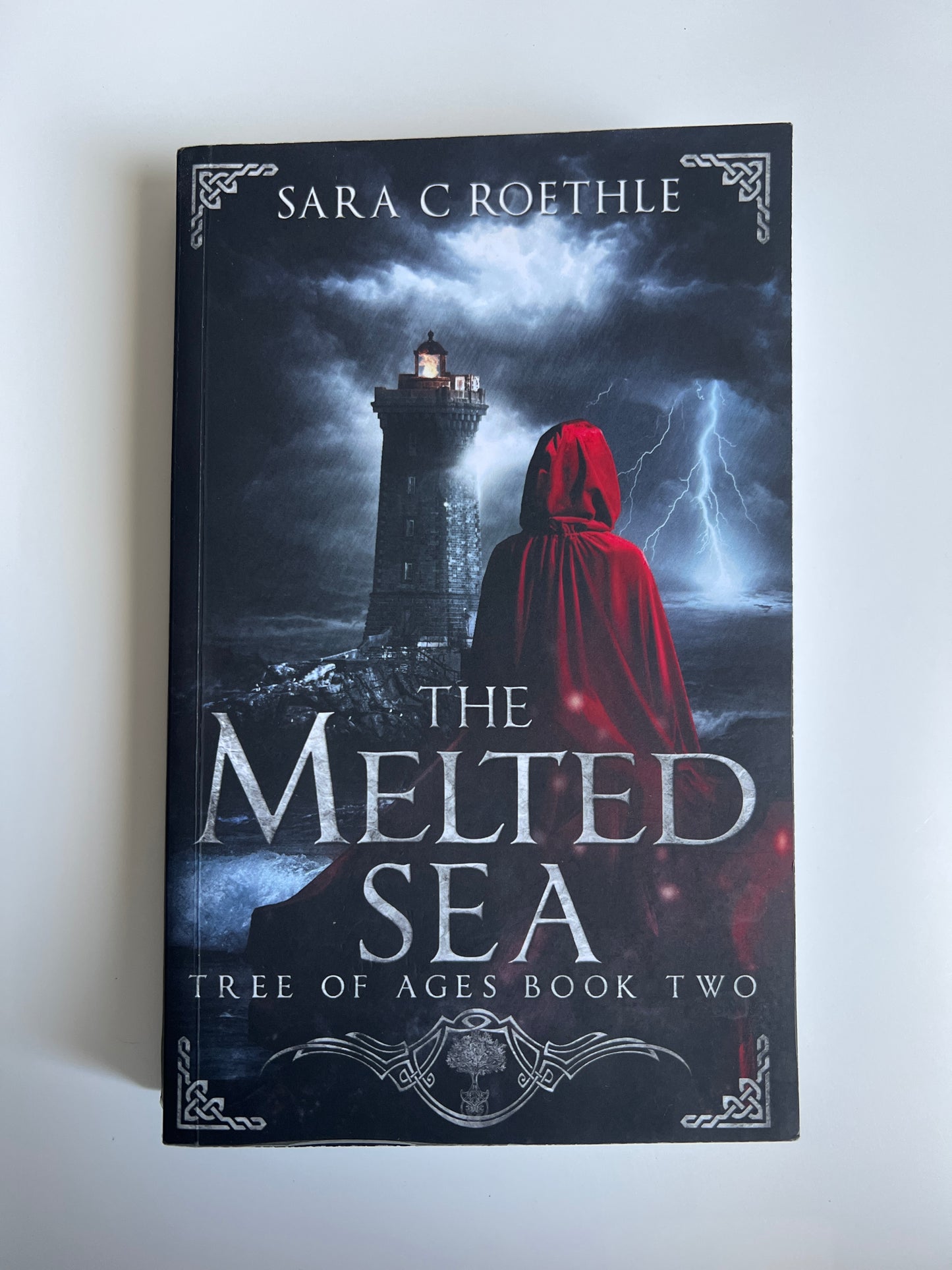 The Melted Sea - Sara C. Roethle