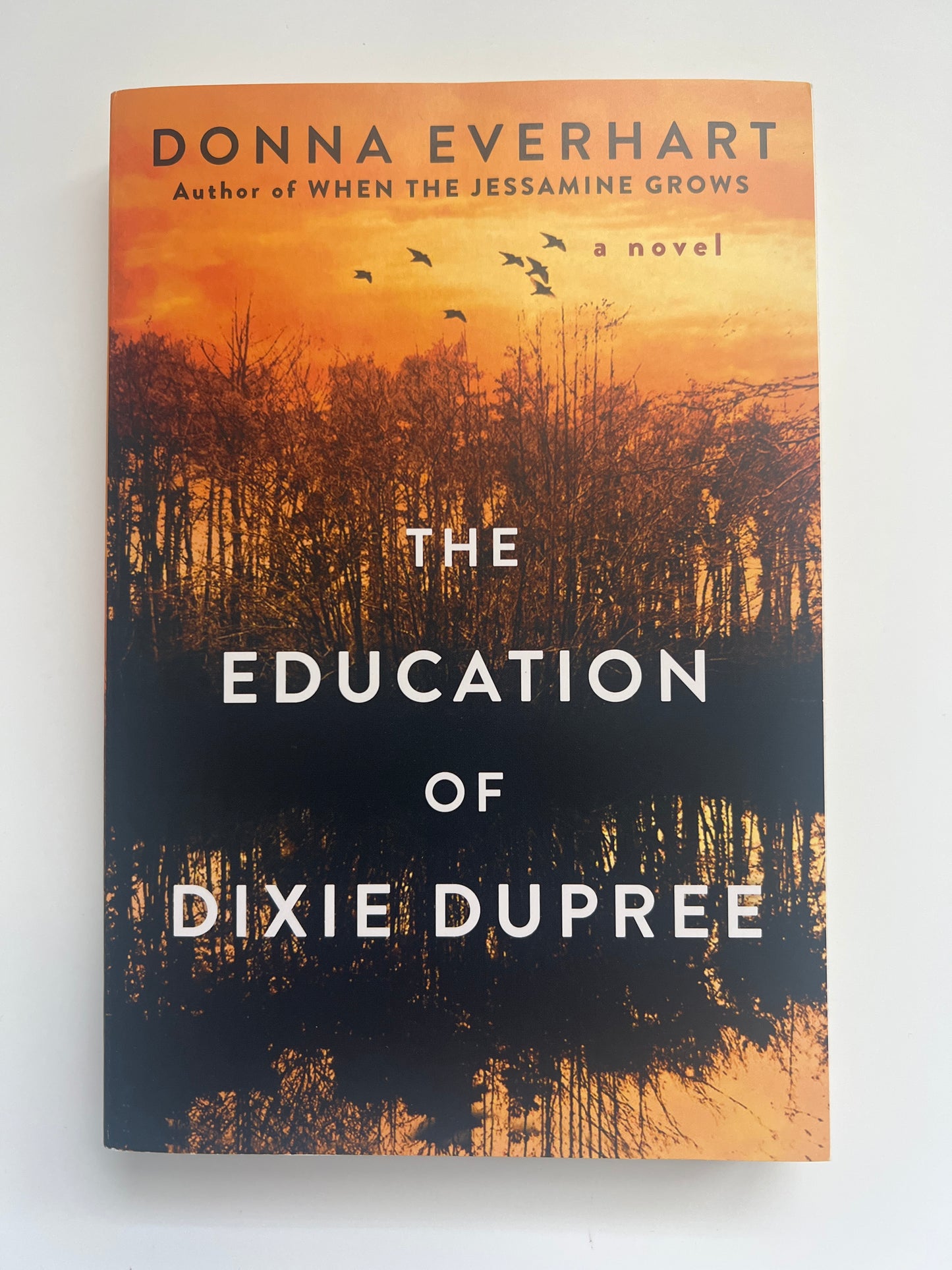 The Education of Dixie Dupree - Donna Everhart