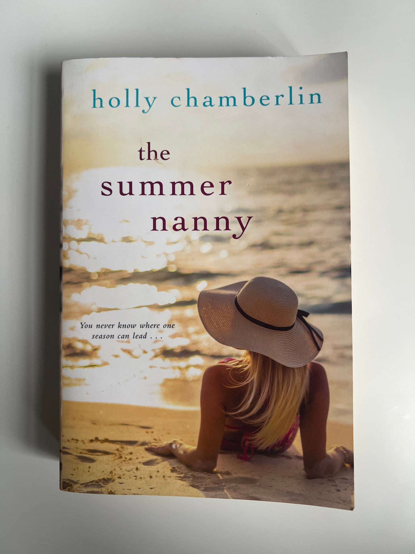 The Summer Nanny - Holly Chamberlin